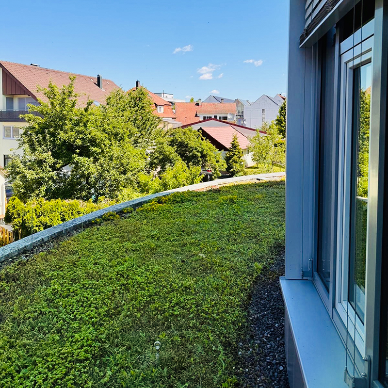Gepflegtes Gründach